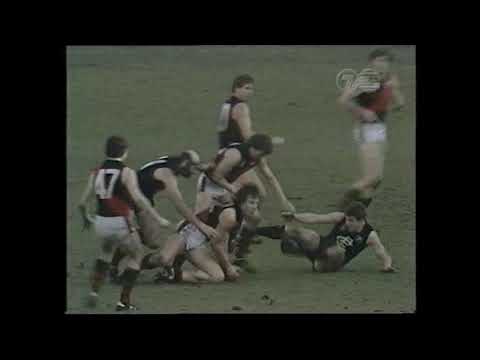 1981 VFL Round 20 Carlton vs Essendon