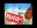 David Kraus - Nevinná (film Účastníci zájezdu) 