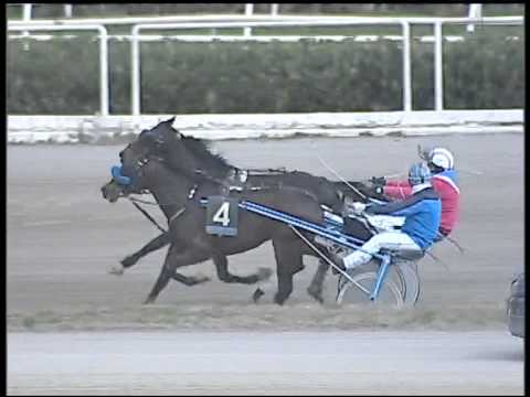 Trotto 01/02/2015 - 4° Corsa