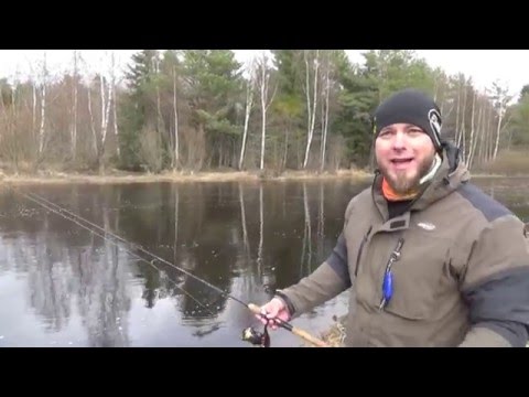 Kesä-Esat Merikarvianjoella