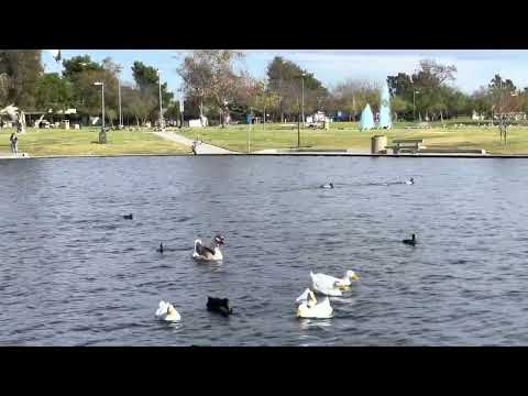 Walk: Don Knabe Community Regional Park, County of LA