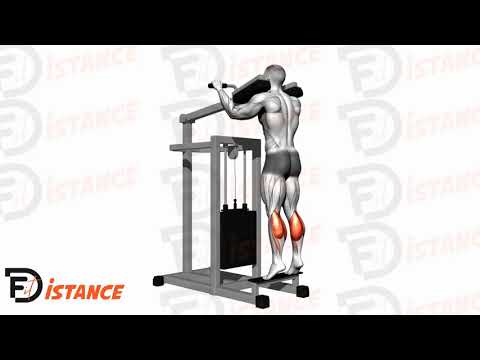 Exercice Élévation des mollets debout à la machine