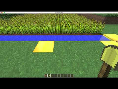 Minecraft Grief Prevention