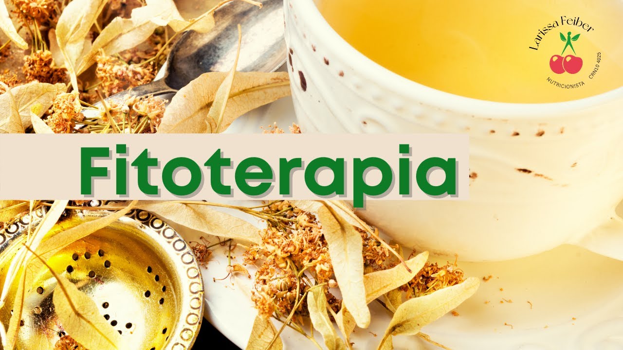 Fitoterapia - entenda tudo sobre!