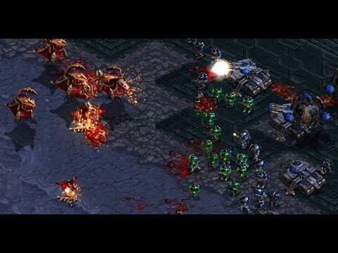 DAY 98 FUSS! Best! RoyaL! Hiya! Stork! Scan! ZeLot! FFA! FME! UMS! - StarCraft - Brood War - 2025