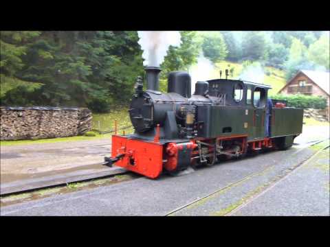 Chemin de fer forestier d'Abreschviller 2013
