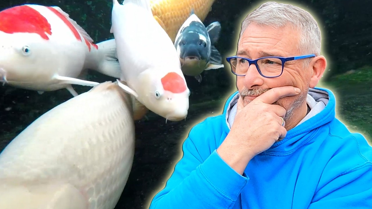 Did my Koi Pond fish make it out of Winter OK** Underwater Camera Reveals Surprising Results! 🐟❄️