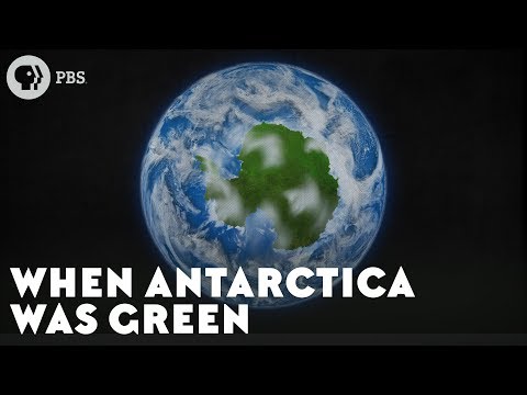 Watch To Explore the Green and Lush Past of Antarctica