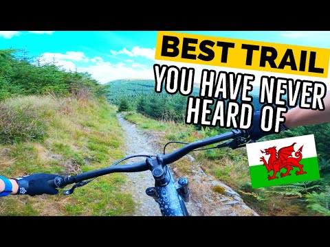 Penmachno -The Best of Welsh Mountain Biking!