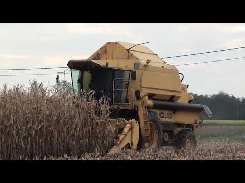 Landb. Tavernier - Zedelgem - New Holland TF 44 - 1987