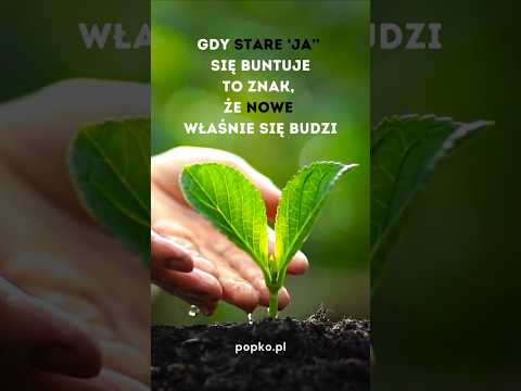 [POPKO Świat Medytacji] Przemiana starego w nowe… #wysokiewibracje #rozwój #rozwójduchowy