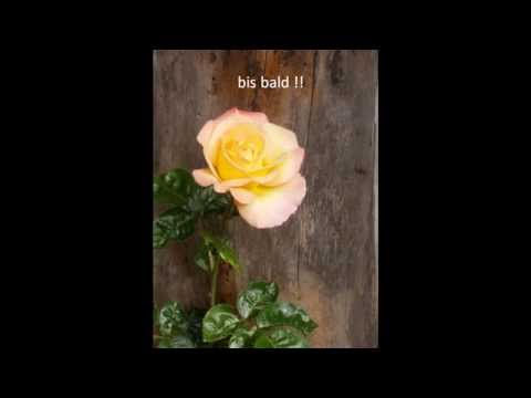 Wir verstehen unsere Gäste...Hotel Sonnenhöfle, Sommerhausen