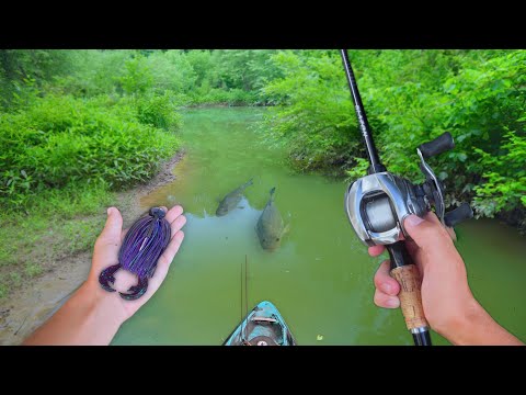 Hunting GIANT BASS In Abandoned Farm Lake! (Kayak Fishing)