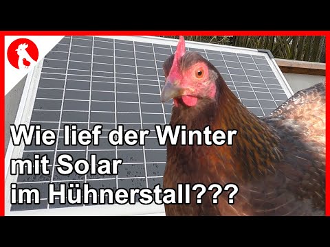 F157 Wie lief der Winter mit einer Solaranlage im Hühnerstall?