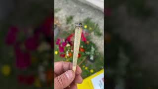 Download lagu Ganja while Gardening 👨‍🌾 mp3