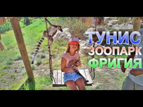 Тунис. Красивый Зоопарк Фригия в Хаммамете! Tunisia. Beautiful ZOO Phrygia