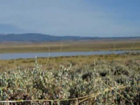Wyoming Muzzleloader Antelope Hunt