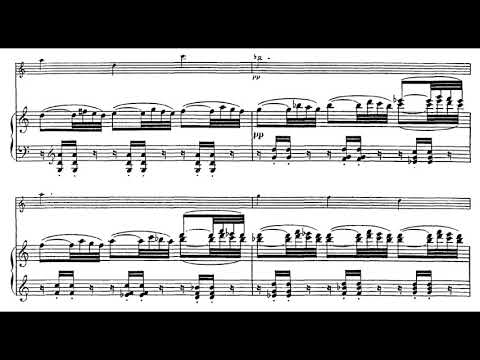 Camille Saint Saëns - Sonata No. 1 in D Minor for Violin & Piano, Op. 75 (1885) [Score-Video]