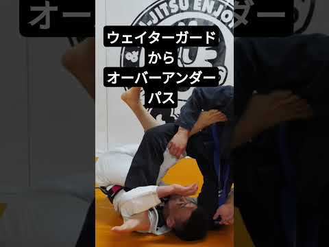 【柔術】ウェイターガードからスイープしてオーバーアンダーパスへ