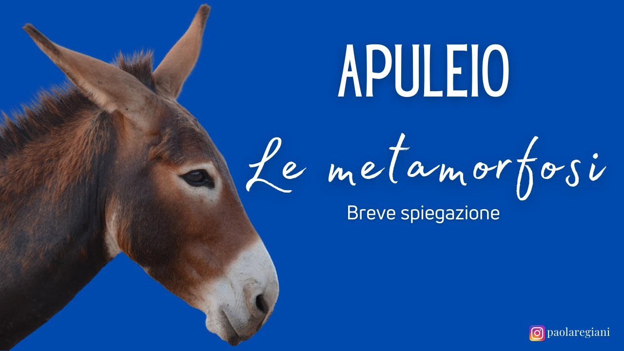 Apuleio. Breve spiegazione de "Le metamorfosi" o "L'asino d'oro"