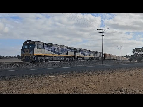 1PM9 SCT up "Dark Ghost" (CF4429, CF4432, SCT011), Forrestfield to Laverton, 1440, 7/5/25, Nhill VIC
