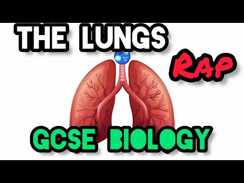 Science Raps: GCSE Biology - The Lungs