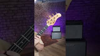 Video thumbnail for Представляю бас Cort Rithimic - модерновая пассивная жаба с Bartolini на борту. #shorts by Real Bassist