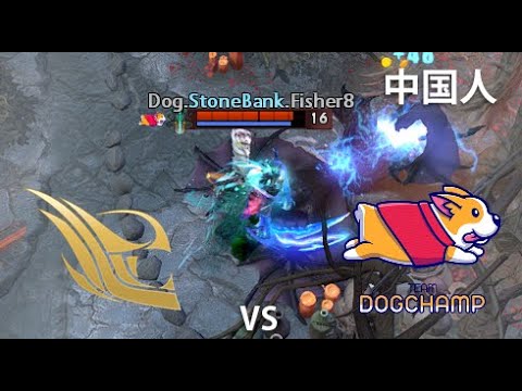 felt vs DogChamp  (第二场比赛) |  强调