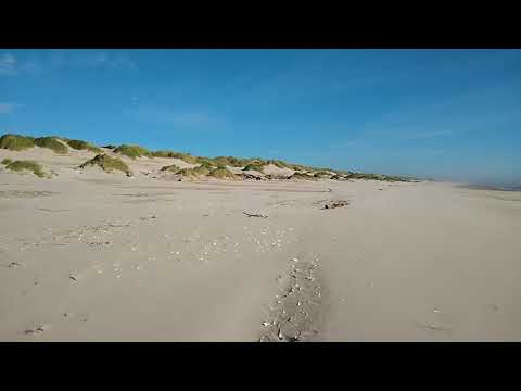 A windy day at Oregon Dunes beach near Thousand Trails.