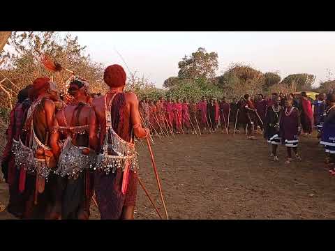 Maasai Morani dancing in a ceremony Tanzania