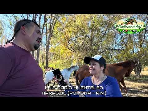Haras JL Pomona - Rio Negro (mayo 2026)