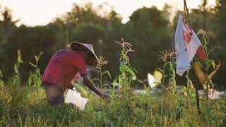 Download lagu Backsound suasana pedesaan mp3