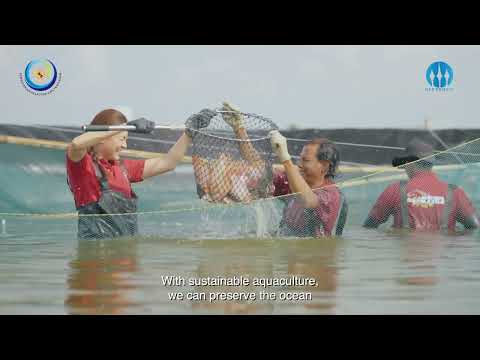 Potensi Perikanan Budidaya Indonesia dari Hulu Hingga Hilir