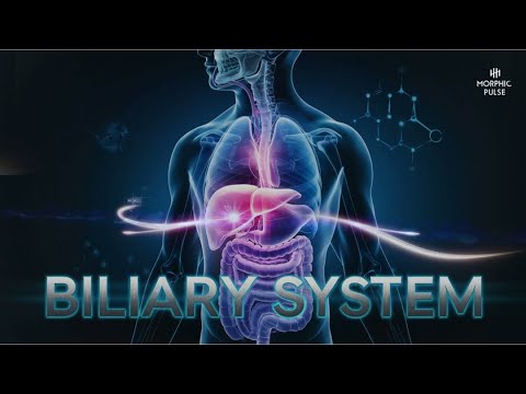 Biliary System Reset: Complete Liver, Gallbladder & Pancreas Rejuvenation (Morphic field)