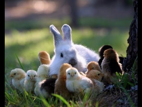 Accident a doua zi de Paste, 2014.04.21