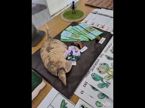 muestra distrital: "Proyecto conociendo a los animales autónomos de San Vicente" Buenos Aires.