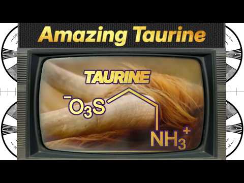 Taurine, the NAD+ boosting, immune boosting amino acid your diet IS missing. Expanded deep dive!
