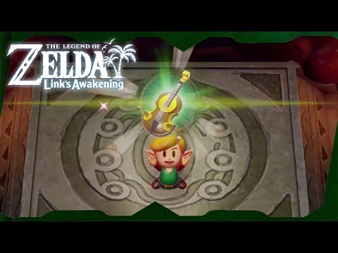 Tail Cave Dungeon Walkthrough | Zelda: Link's Awakening for Switch ᴴᴰ