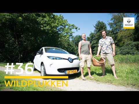 De ZOE en Edwin Florès – Wildplukken #36