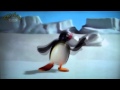 Pingu Intro Reversed