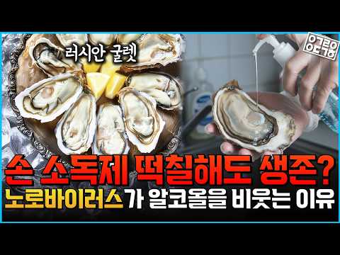 손 소독제 비웃는 노로바이러스… 10개 입자로 '장염 지옥'