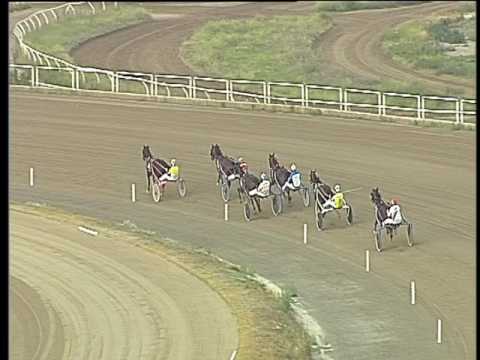 Trotto 17/06/2017 - 2ª prova di qualifica