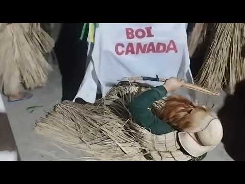 #cultura #piauiense #cavalo boa hora Piauí 