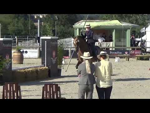World Championship Working Equitation 2022 in les Herbiers maniabilitè Alteyrac Julie on CALIFA ES