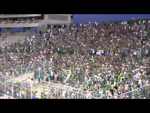 "Verde solo hay uno y es del Valle | Deportivo Cali 3-1 Nacional" Barra: Frente Radical Verdiblanco &bull; Club: Deportivo Cali