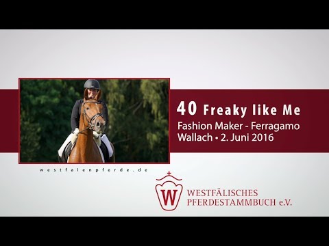 40 Freaky like Me  Wallach v. Fashion Maker - Ferragamo