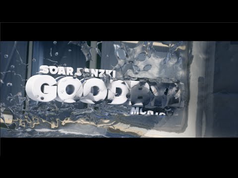 Synergy Dezev | SoaR Janzki's Goodbye Montage