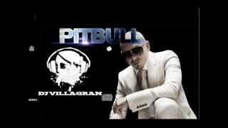 pitbull manos parriba