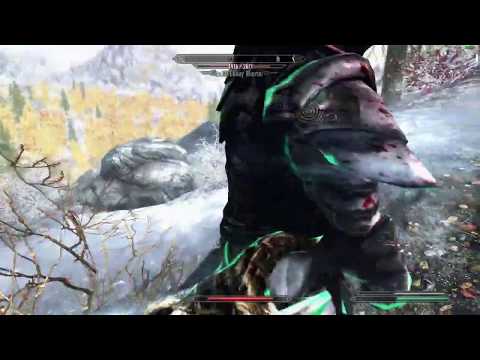 I was just trying to fight the Ebony Warrior, then this happened