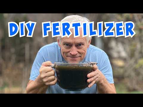 👨‍🌾Feeding Garlic With 1-Year-Old Swamp Water